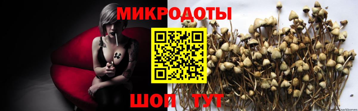 Галлюциногенные грибы прущие грибы  Вход с VPN  как найти   Михайловск 
